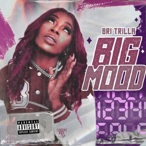 unnamed-10-500x500 Bri Trilla Takes Over the Summer With Viral Sensation “Big Mood”  